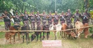 সুনামগঞ্জ সীমান্ত এলাকা থেকে ৯টি ভারতীয় গরু জব্দ